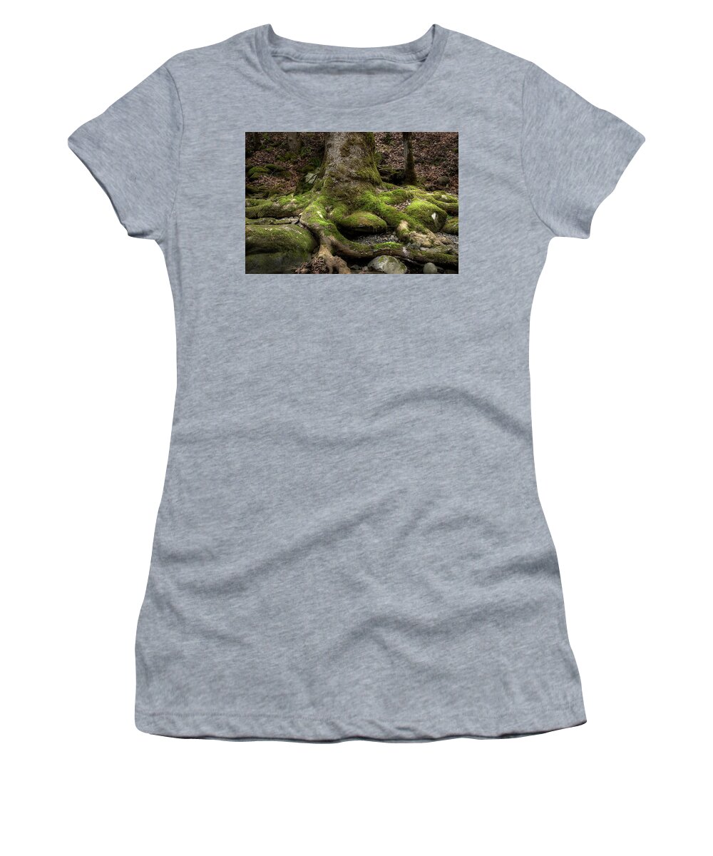 Roots Women's T-Shirt featuring the photograph Roots Along The River by Mike Eingle