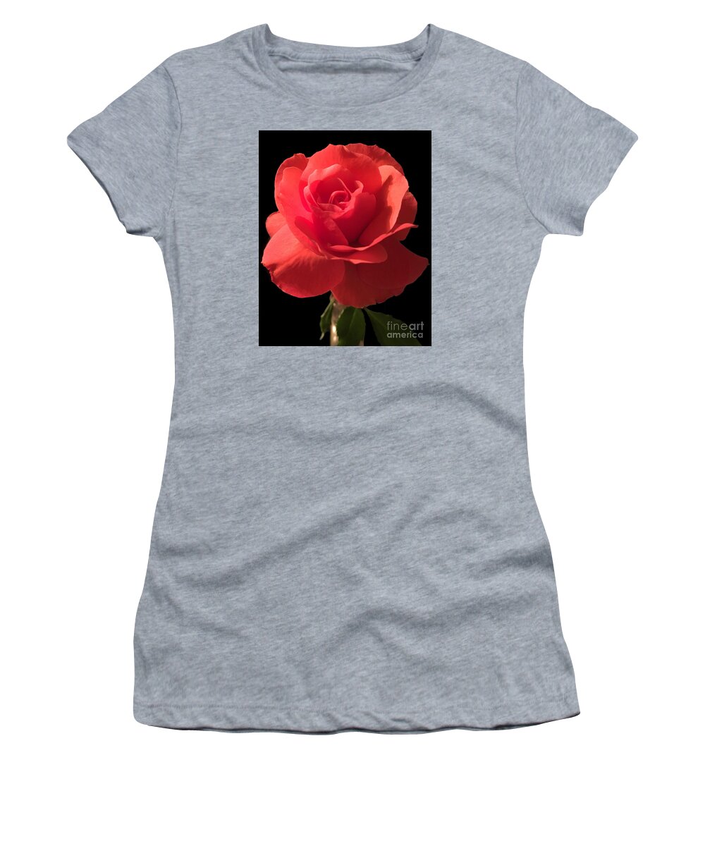 Rose Women's T-Shirt featuring the photograph Rose in Bloom by CAC Graphics