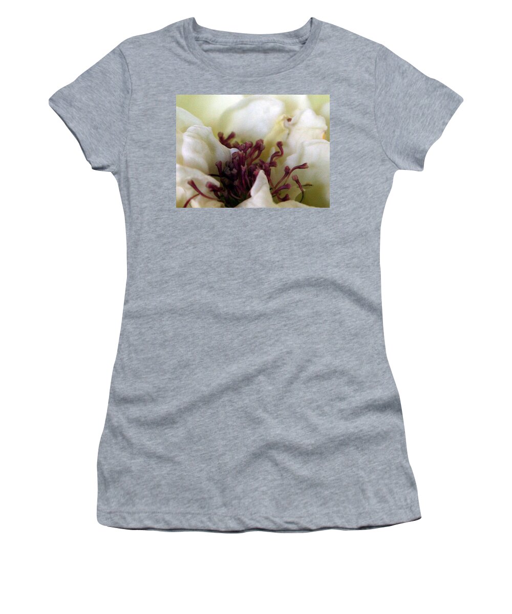 White Women's T-Shirt featuring the photograph Rose by Marna Edwards Flavell