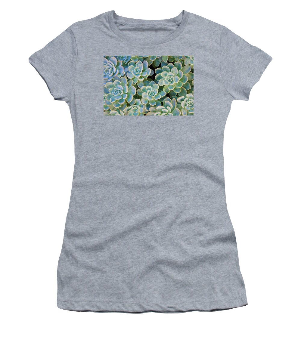 Rose Succulents Women's T-Shirt featuring the photograph Rose Succulents by Sandi OReilly