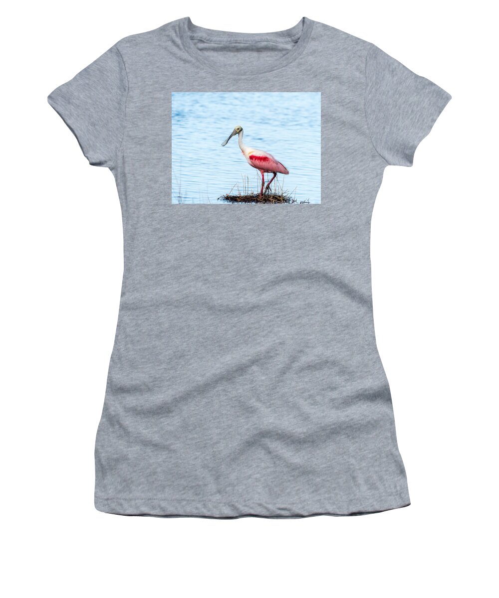 Bird Women's T-Shirt featuring the photograph Roseate Spoonbill by Jaime Mercado