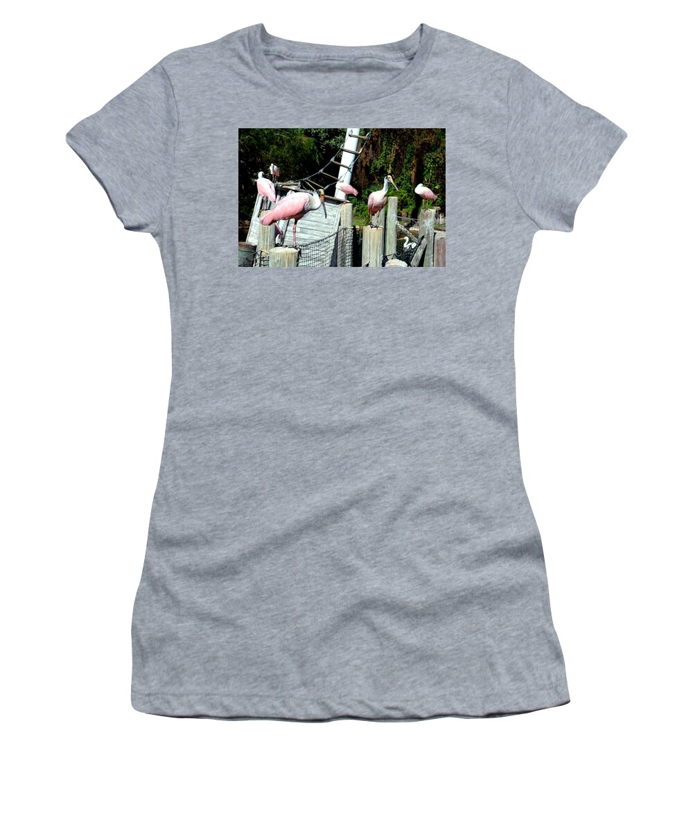 Ft. Worth Women's T-Shirt featuring the photograph Roseate Spoonbill by Kenny Glover