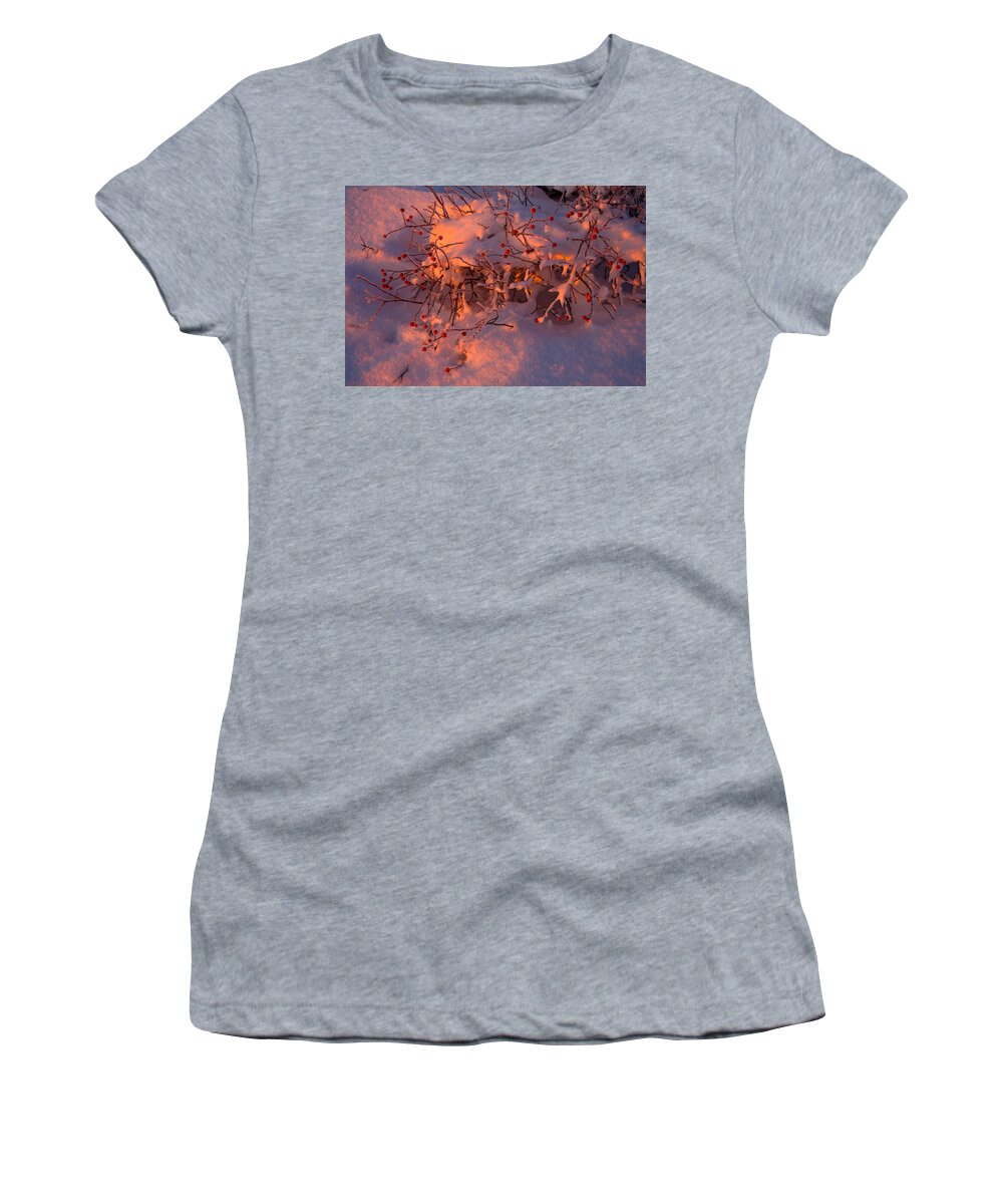 Winter Landscape Women's T-Shirt featuring the photograph Rosehips At Winter Sunrise by Irwin Barrett
