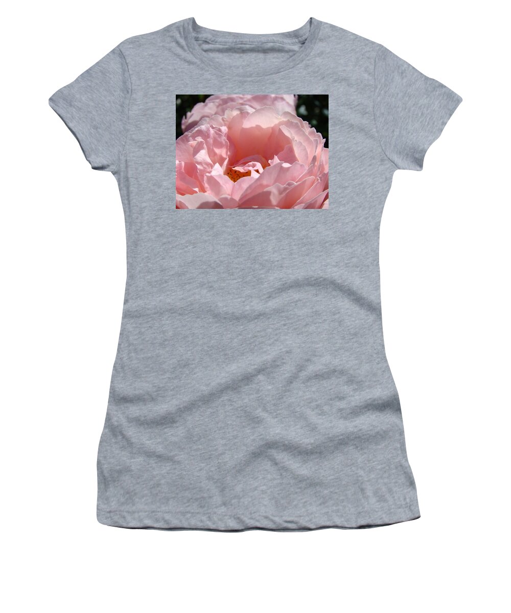 Rose Women's T-Shirt featuring the photograph ROSES Pink Rose Flower 2 Rose Garden Art Baslee Troutman Collection by Patti Baslee