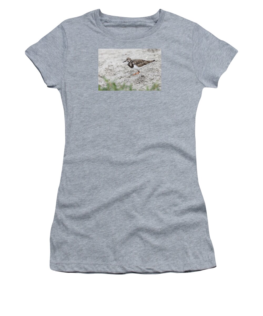 Arenaria Women's T-Shirt featuring the photograph Ruddy Turnstone foraging on the beach by David Watkins