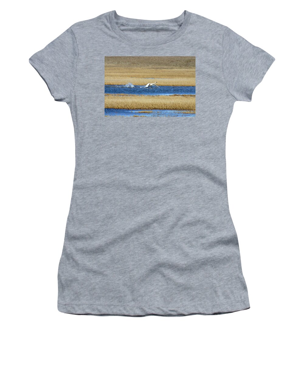 Swan Women's T-Shirt featuring the photograph Running on Water by Anthony Jones