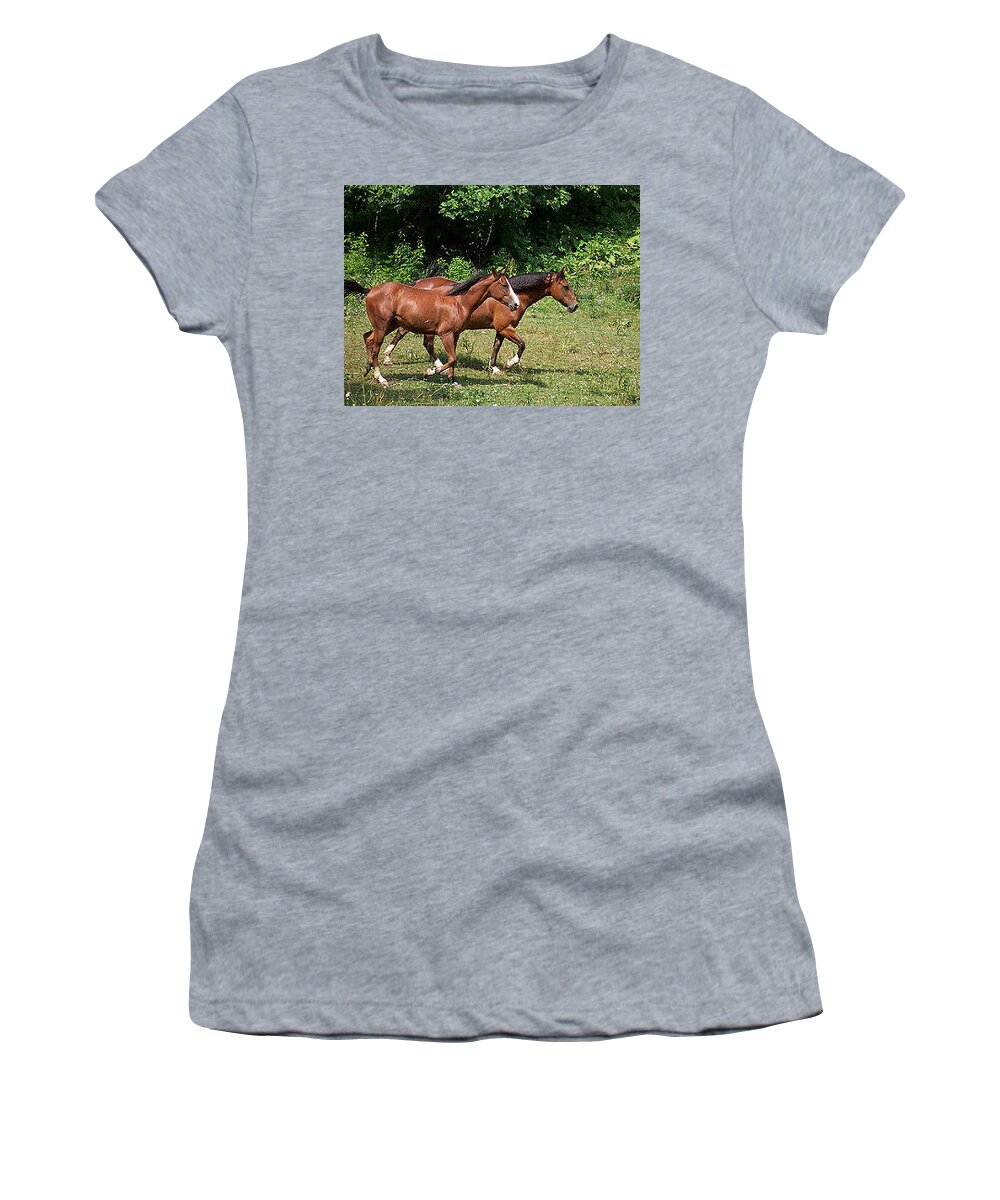 Horses Women's T-Shirt featuring the photograph Running the Field by De McClung