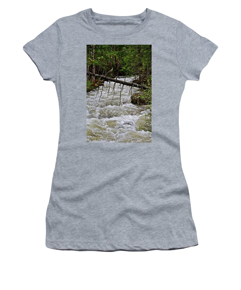 Water Women's T-Shirt featuring the photograph Rushing Stream by Diana Hatcher