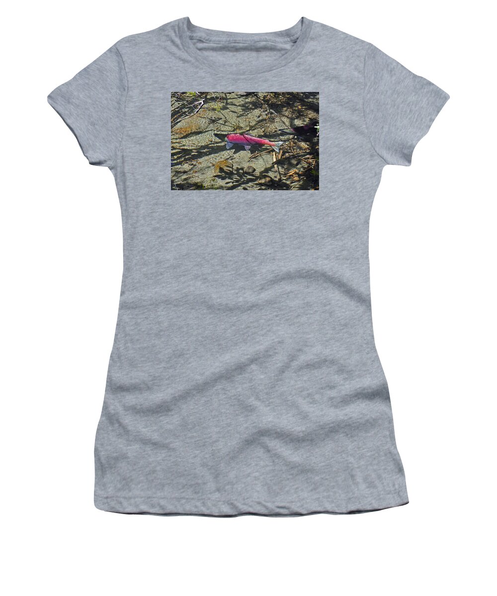 Red Women's T-Shirt featuring the photograph Salmon and Shadows by Cathy Mahnke