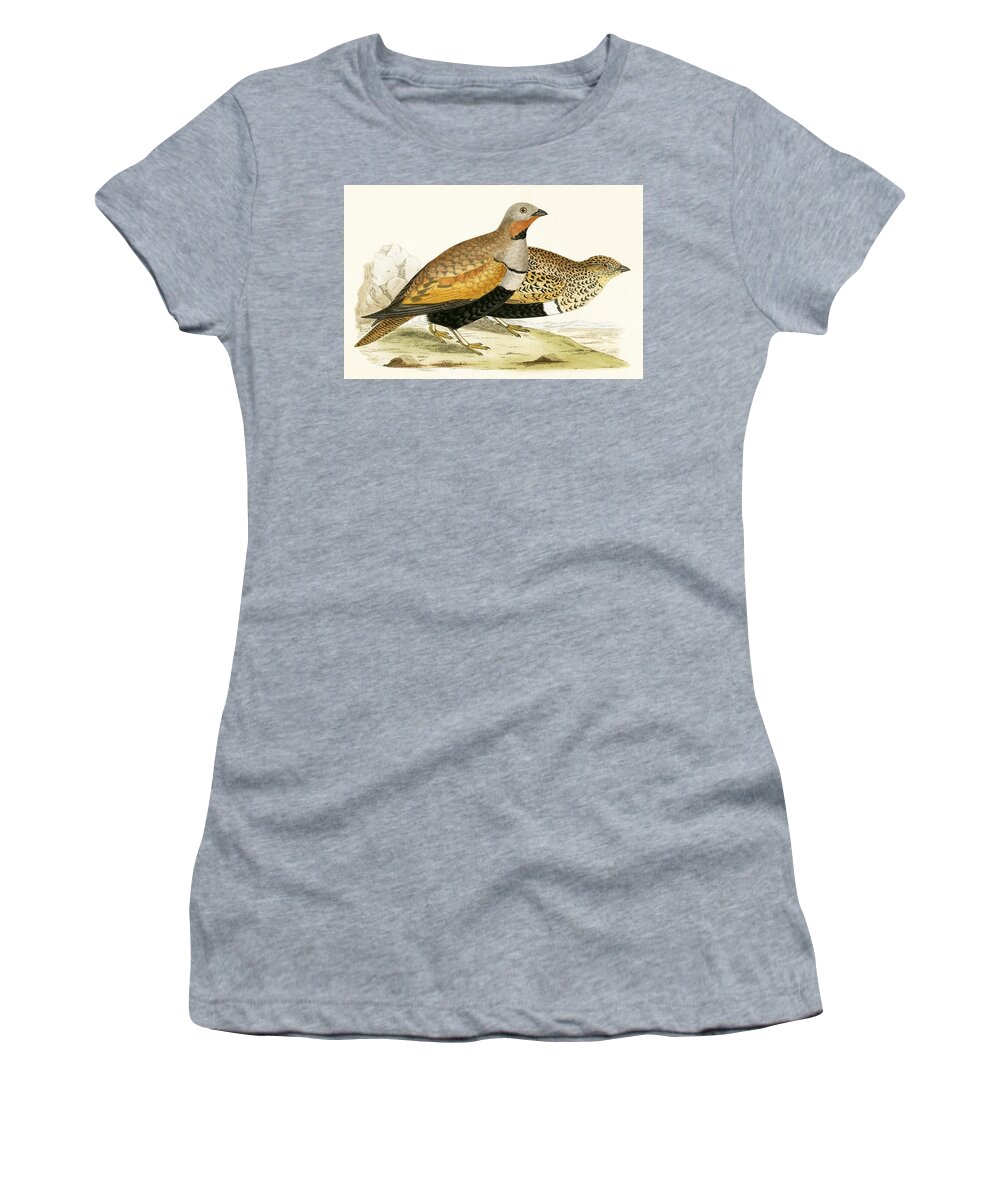 Bird Women's T-Shirt featuring the painting Sand Grouse by English School