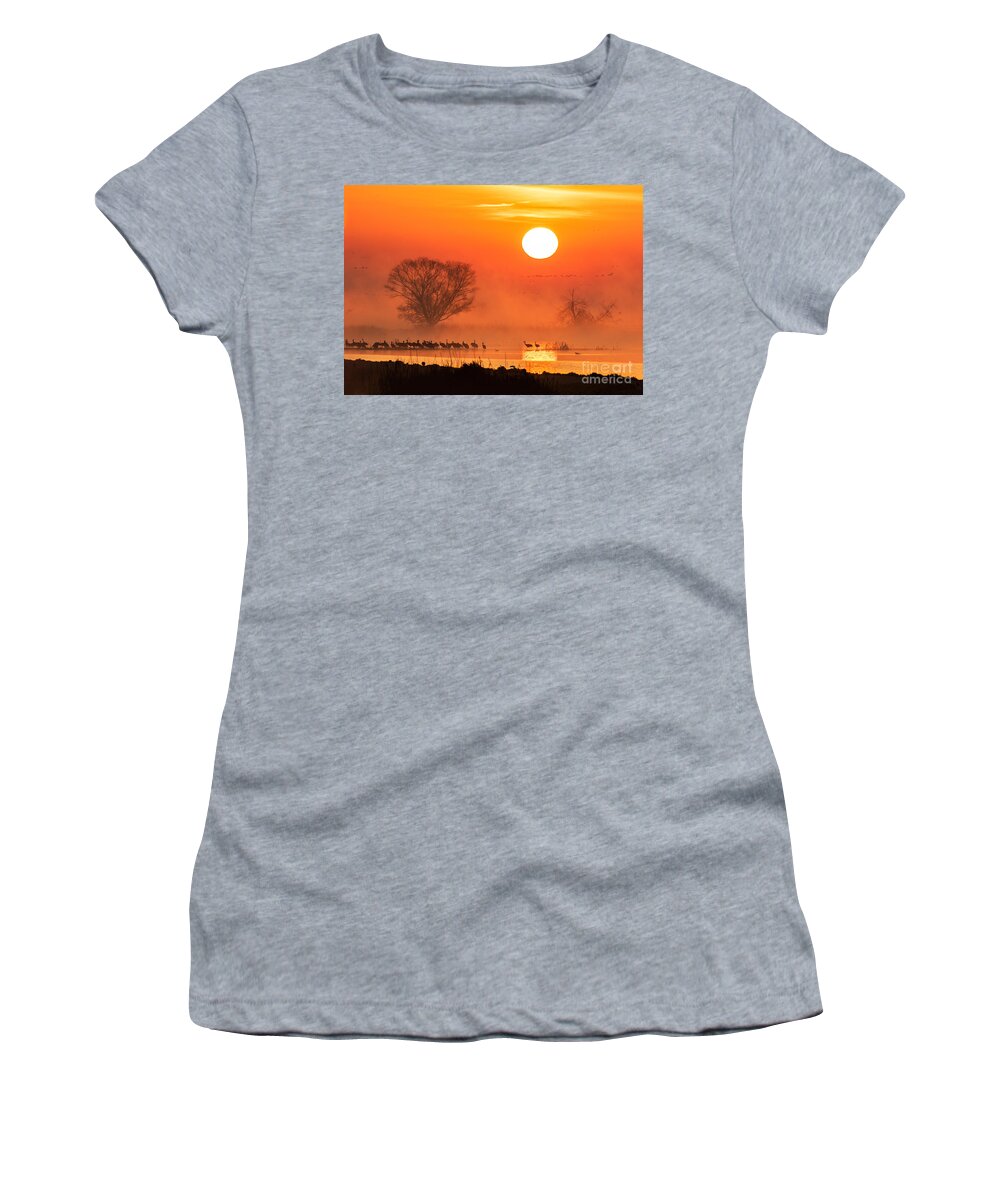 Sunrise Women's T-Shirt featuring the photograph Sandhill Cranes In The Misty Sunrise by Mimi Ditchie