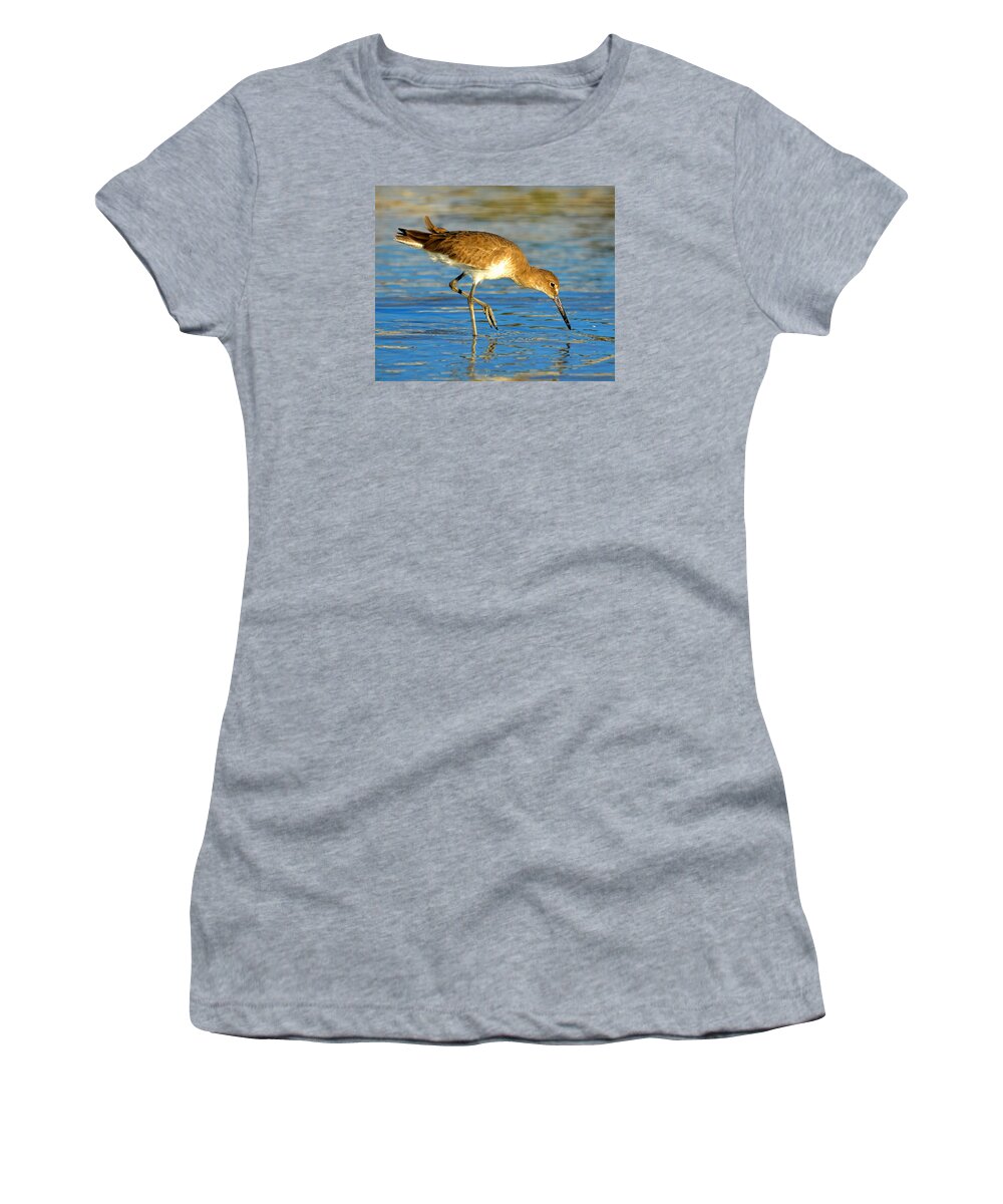 Sandpiper Women's T-Shirt featuring the photograph Sandpiper hunting by David Lee Thompson