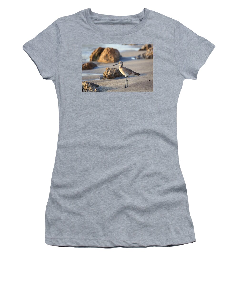 Florida Women's T-Shirt featuring the photograph Sandpiper by Paul Schultz