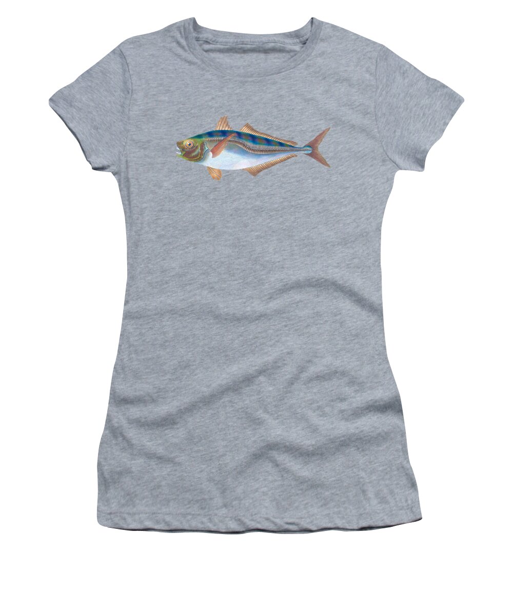 Animal Women's T-Shirt featuring the digital art Scad Fish by Roy Pedersen