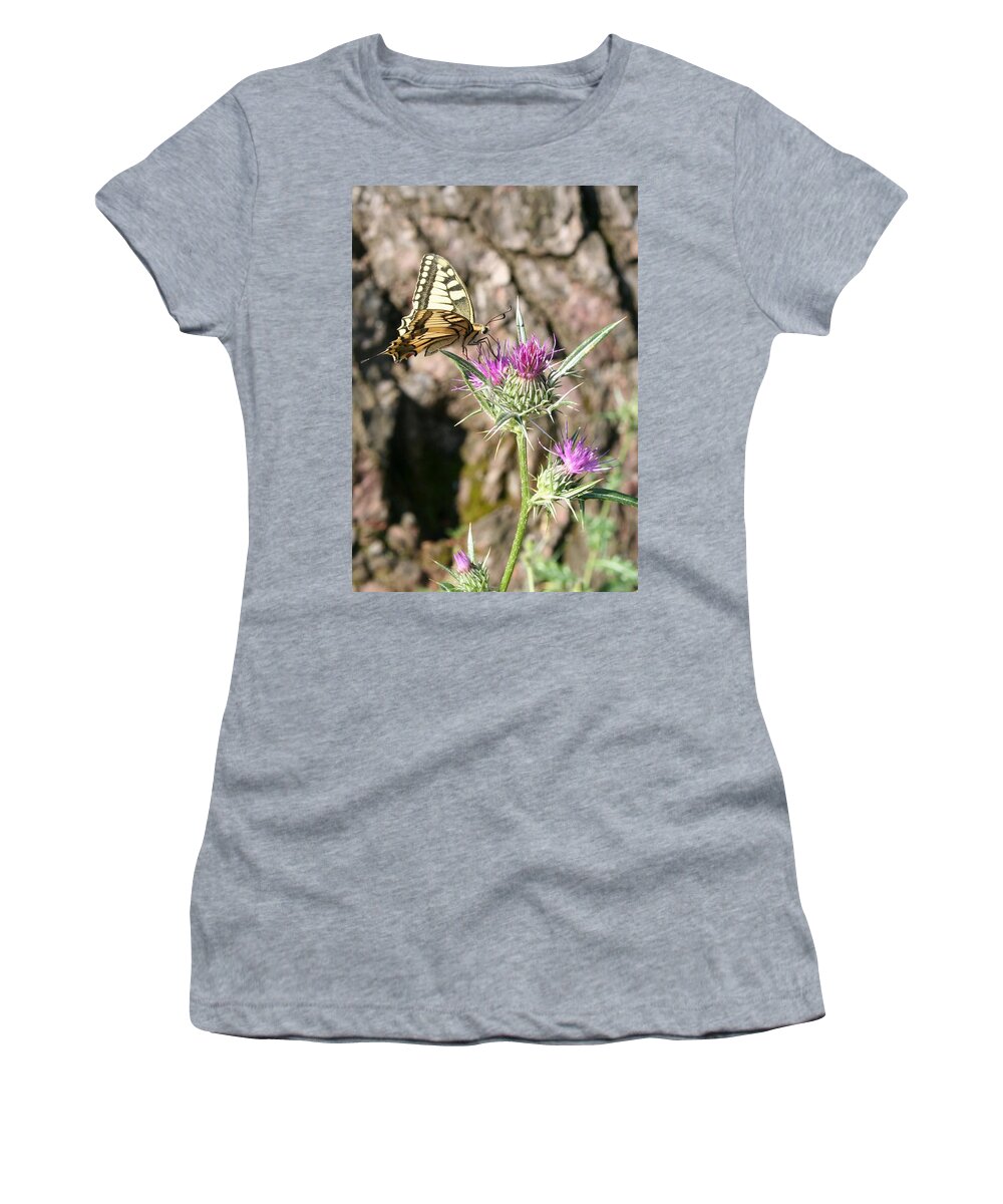 Butterfly Women's T-Shirt featuring the photograph Scarce Swallowtail Butterfly and Thistle by Taiche Acrylic Art