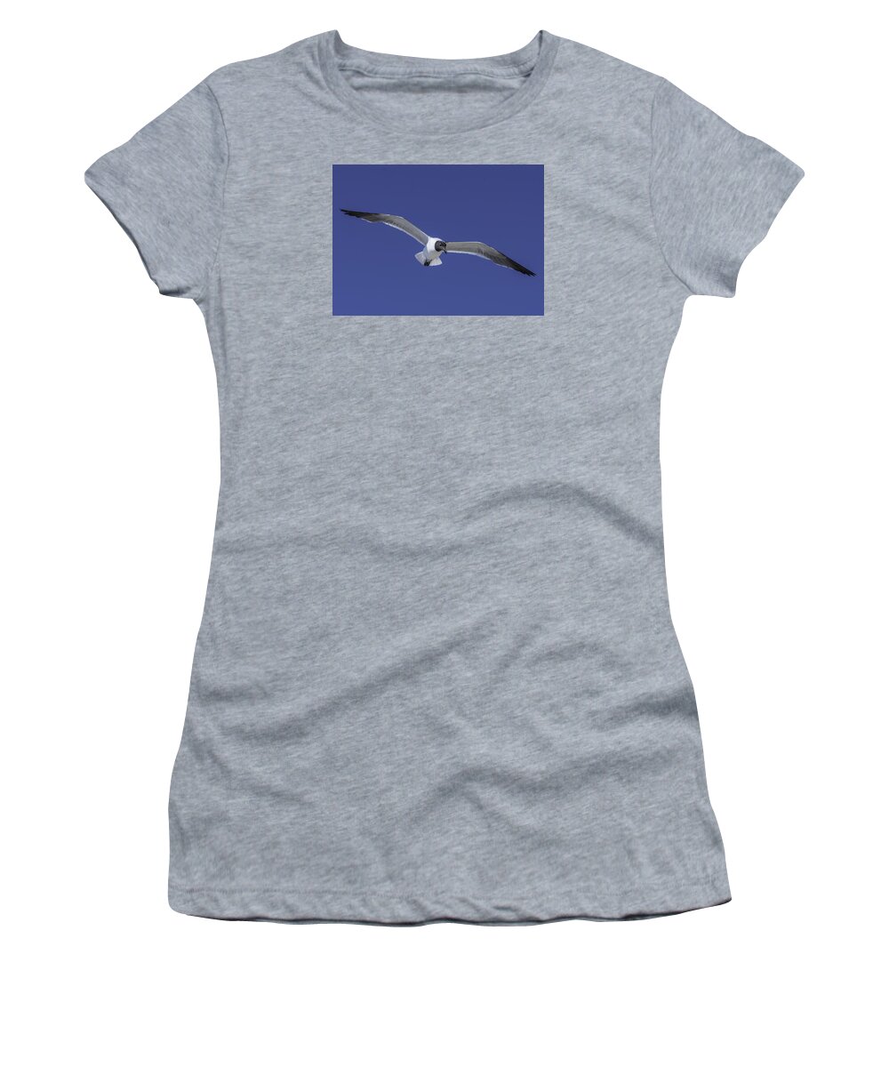 Original Women's T-Shirt featuring the photograph Sea Gull on the wing by WAZgriffin Digital