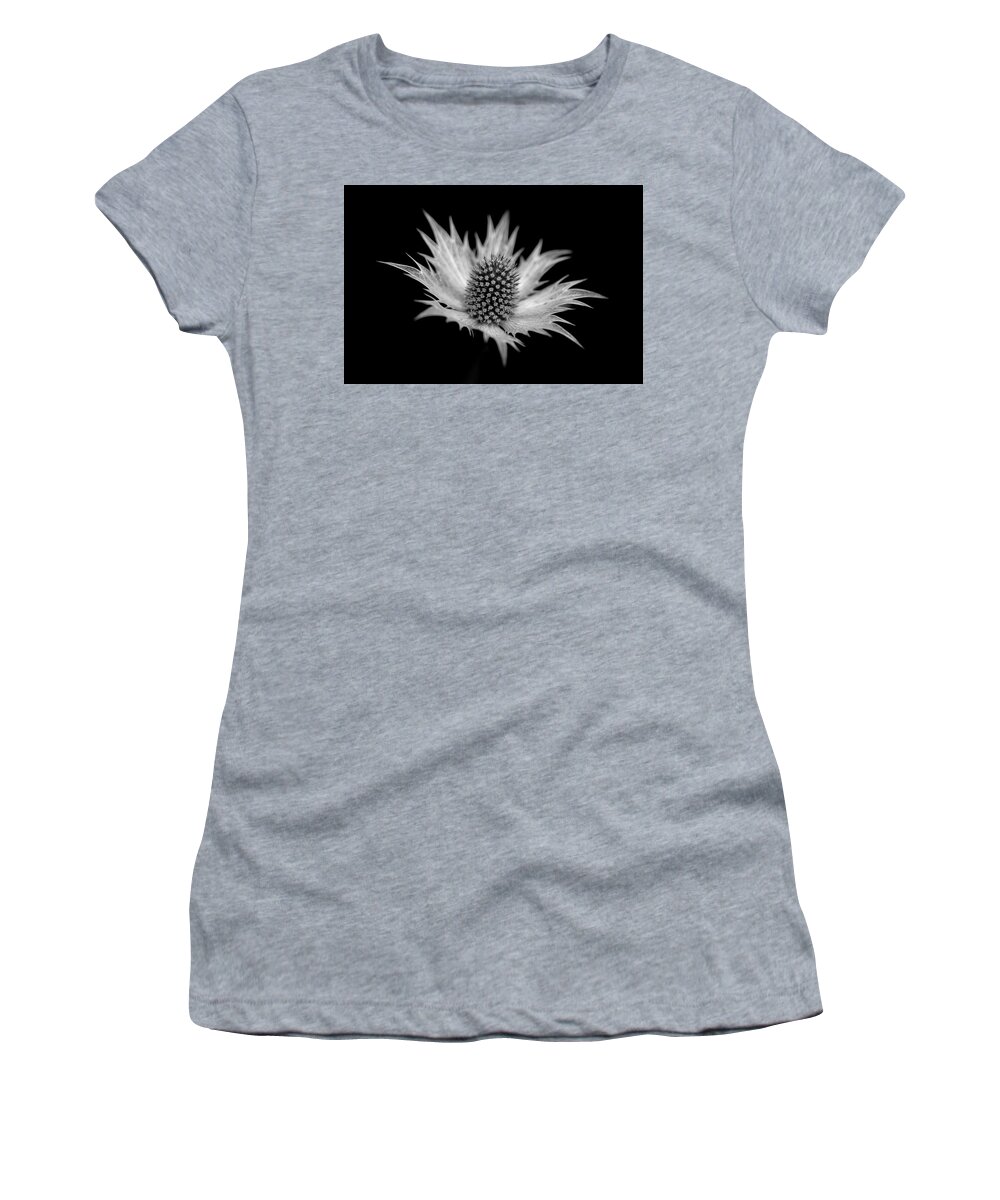 Sea Holly Erngynium Women's T-Shirt featuring the photograph Sea Holly by Ian Sanders