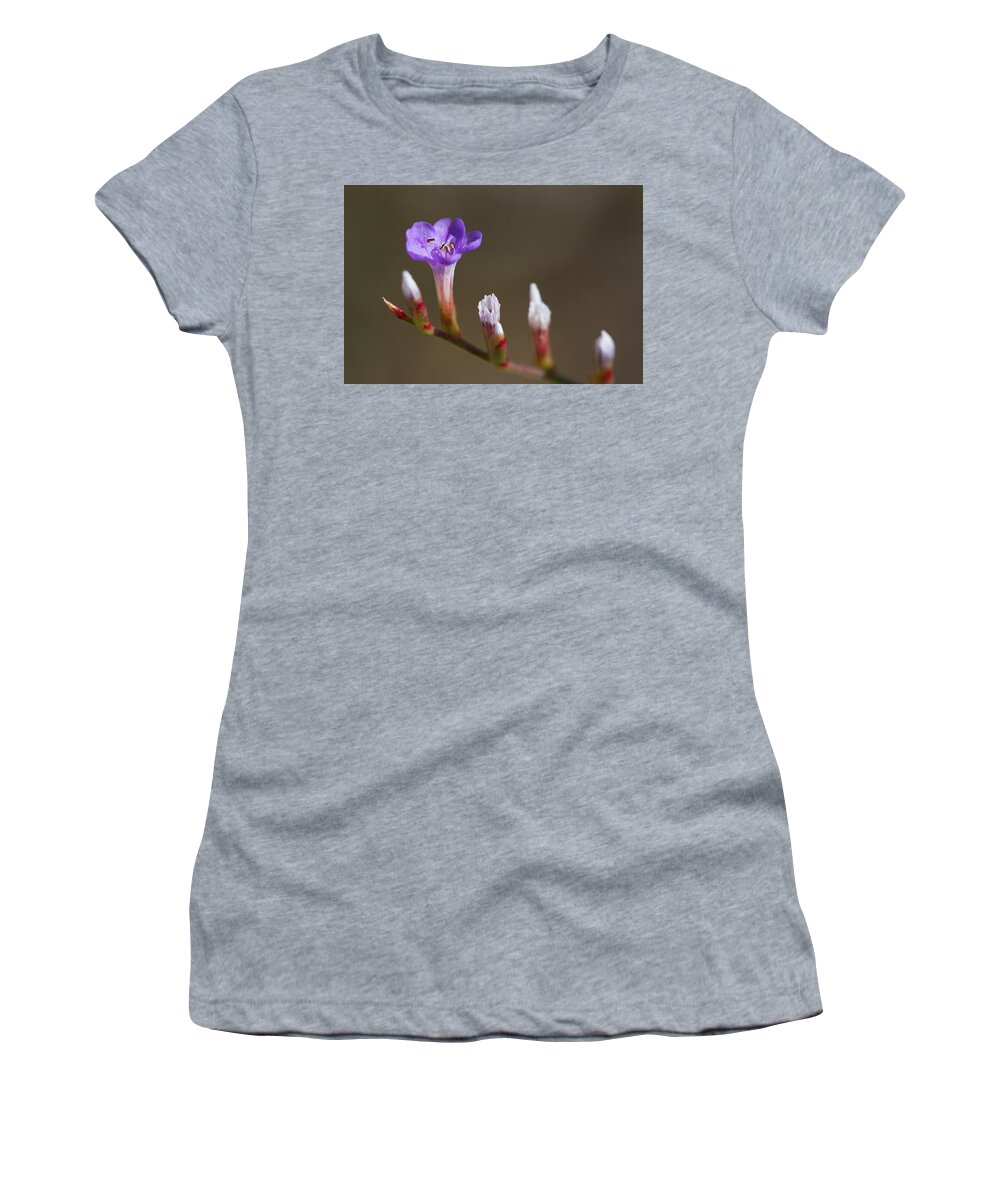 Sealavender Women's T-Shirt featuring the photograph Sea Lavender by Paul Rebmann