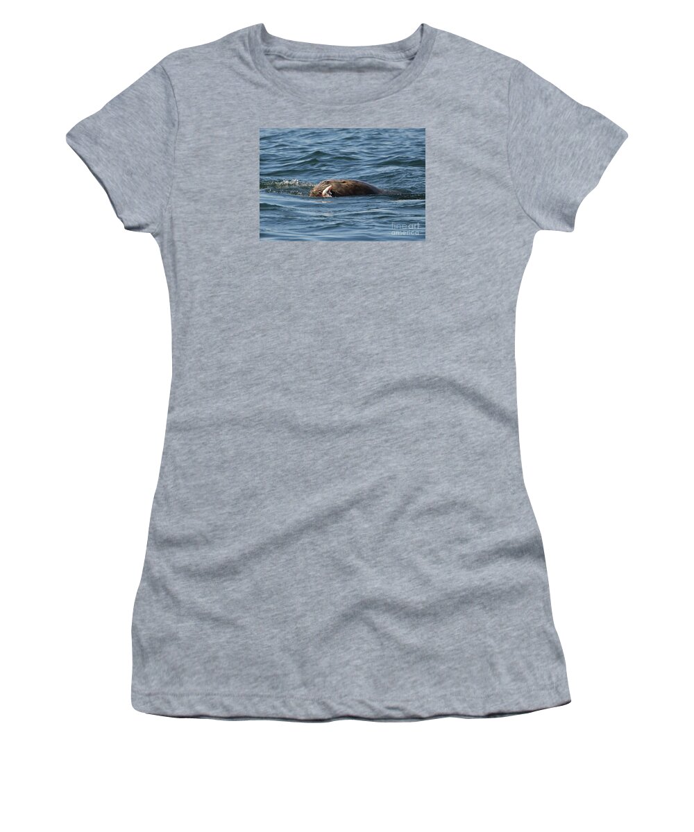 Stellar Sea Lion Women's T-Shirt featuring the photograph Sea Lion Meal by Michael Dawson