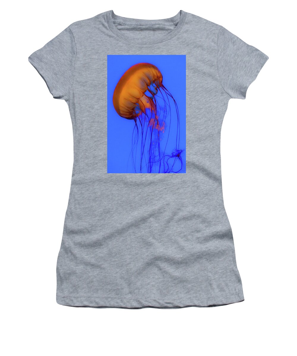 Akron Zoo Women's T-Shirt featuring the photograph Sea Marvel by Stewart Helberg
