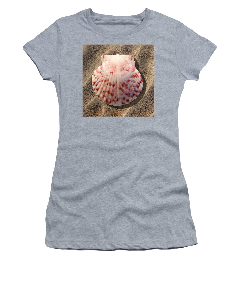 Travel Women's T-Shirt featuring the photograph Sea Shell by Mike McGlothlen
