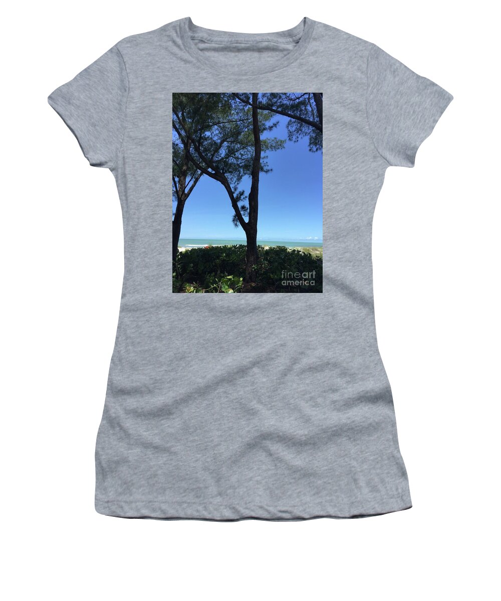 Seagrapes Women's T-Shirt featuring the photograph Seagrapes and Pines by Megan Cohen