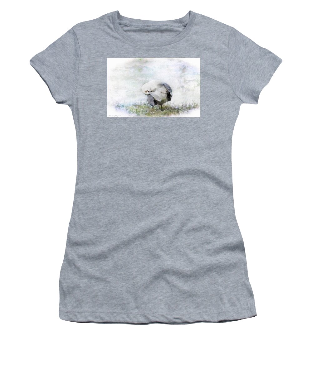 Seagull Photography Women's T-Shirt featuring the photograph Seagull art 0001 by Kevin Chippindall