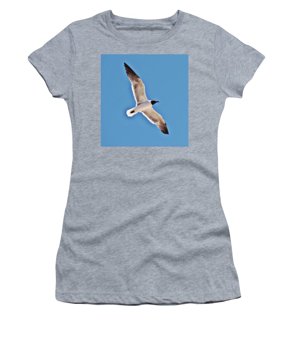 Seagull Women's T-Shirt featuring the photograph Seagull in Flight by Gina O'Brien
