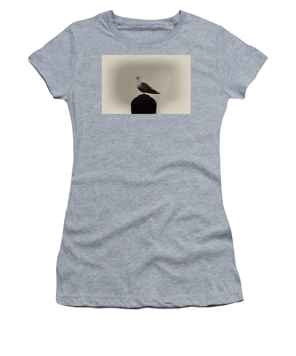 Seagull Women's T-Shirt featuring the photograph Seagull in Sepia by Bill Cannon