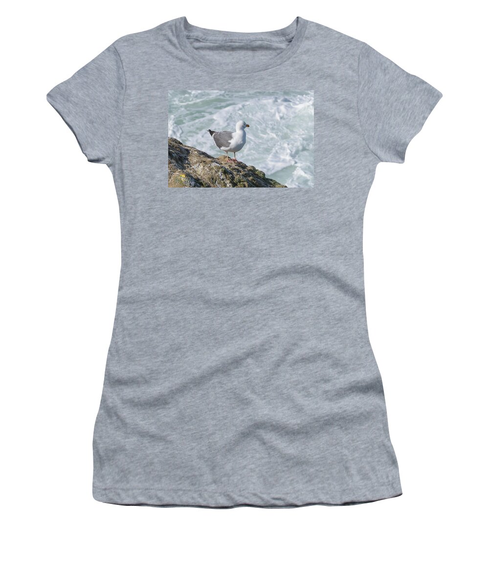 Bodega Bay Women's T-Shirt featuring the photograph Seagull by Jim Thompson