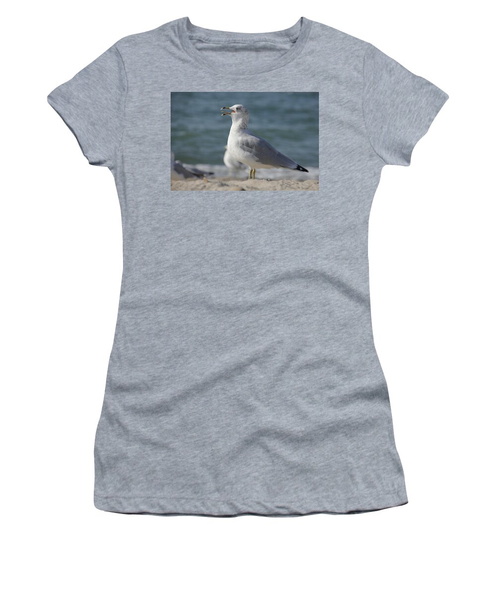 Seagull Women's T-Shirt featuring the photograph Seagull on Lake Erie Beach by Valerie Collins