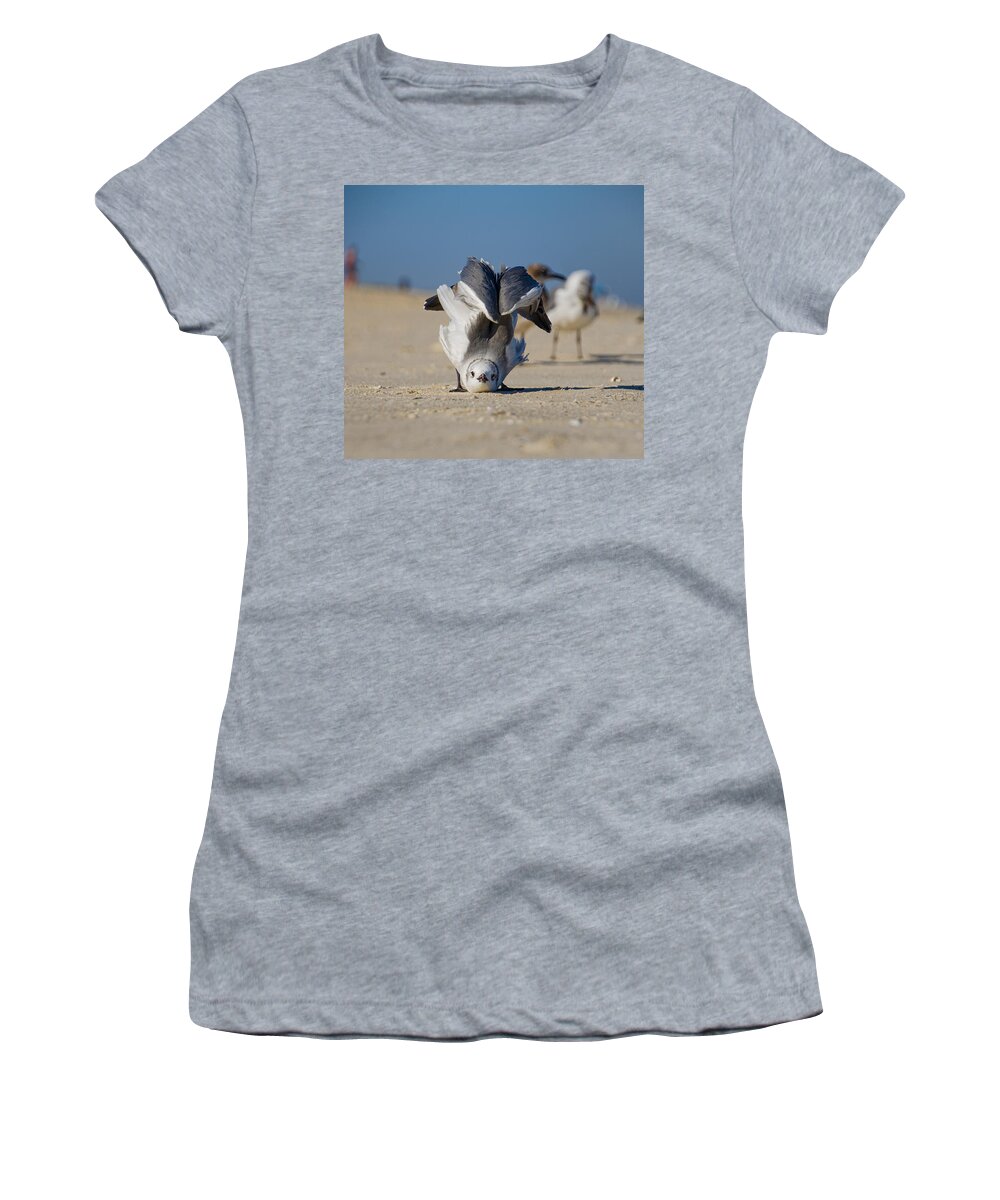 Seagull Women's T-Shirt featuring the photograph Seagull Yoga by Beth Venner