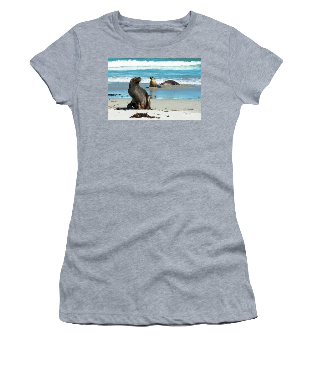 2017 Women's T-Shirt featuring the photograph Seals on Seal bay by Andrew Michael