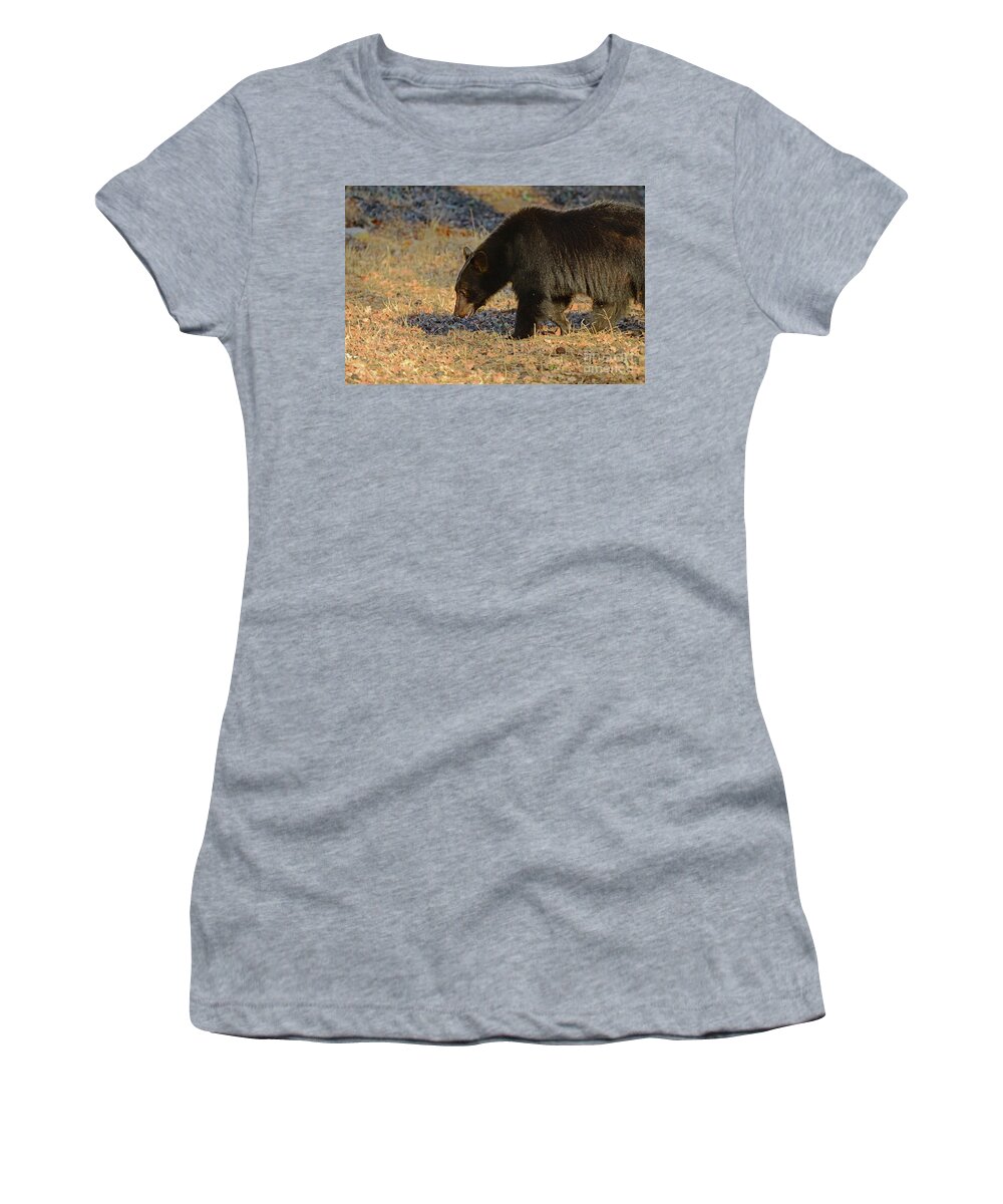 Brown Bear Women's T-Shirt featuring the photograph Searching for Acorns by Debby Pueschel