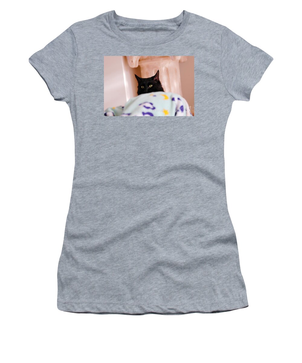 Clay Women's T-Shirt featuring the photograph Secret Mission For Catnip by Clayton Bruster