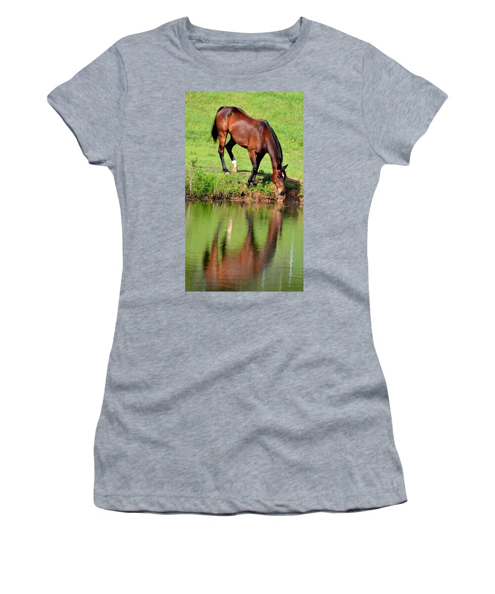 Horse Women's T-Shirt featuring the photograph Seeing My Own Reflection by Maria Urso