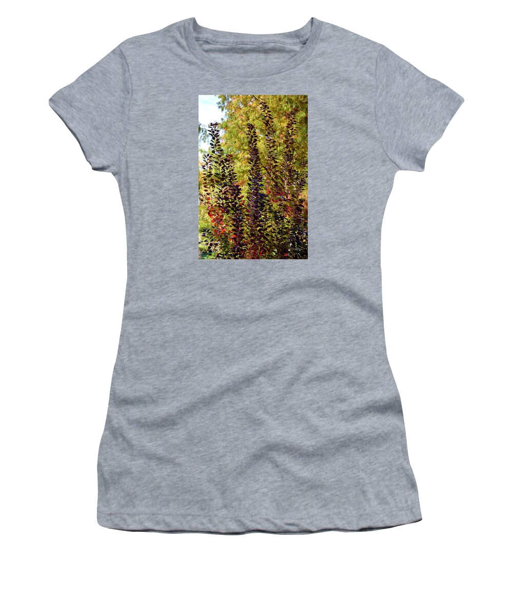 Fall Women's T-Shirt featuring the photograph Shades of Fall by Deborah Crew-Johnson