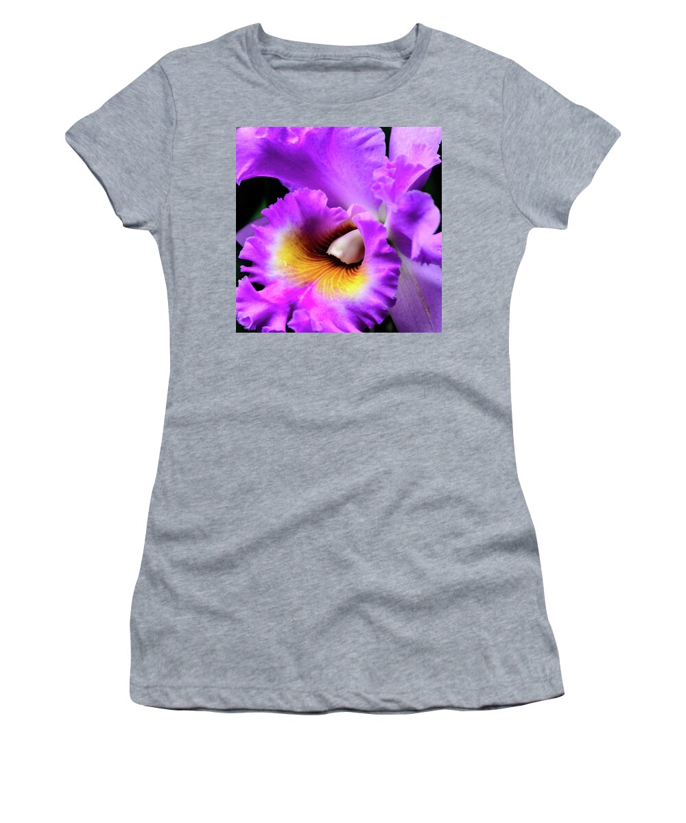 Cleveland Botanical Gardens Women's T-Shirt featuring the photograph Shades of Purple by Stewart Helberg