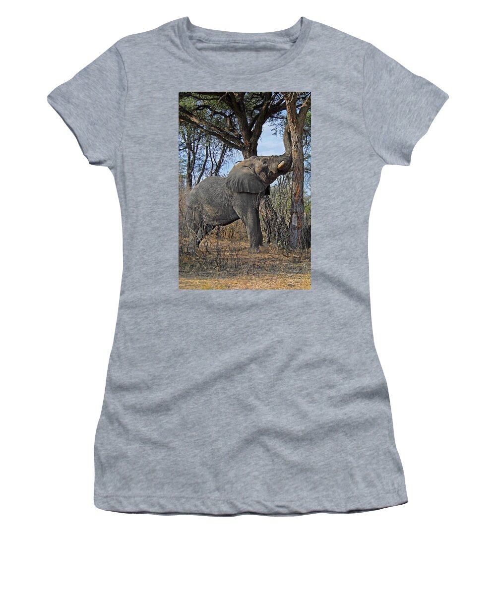 Elephant Women's T-Shirt featuring the photograph Shake the Trees by Ted Keller