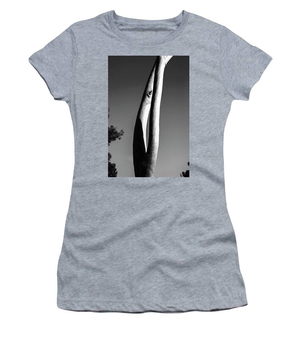 Tree Women's T-Shirt featuring the photograph Shape Of Nature by Joseph S Giacalone