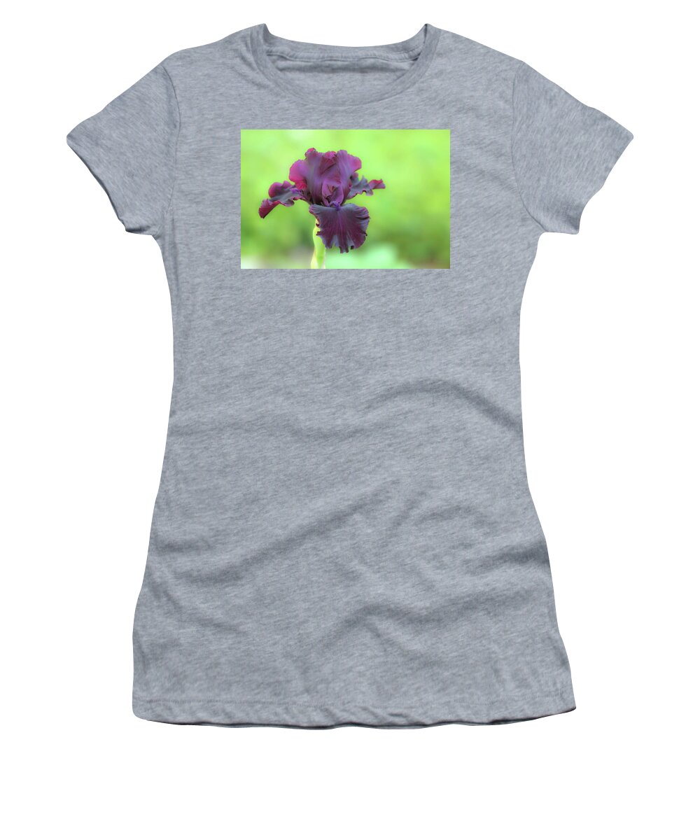 Flower Women's T-Shirt featuring the photograph Sheer Elegance by Deborah Crew-Johnson