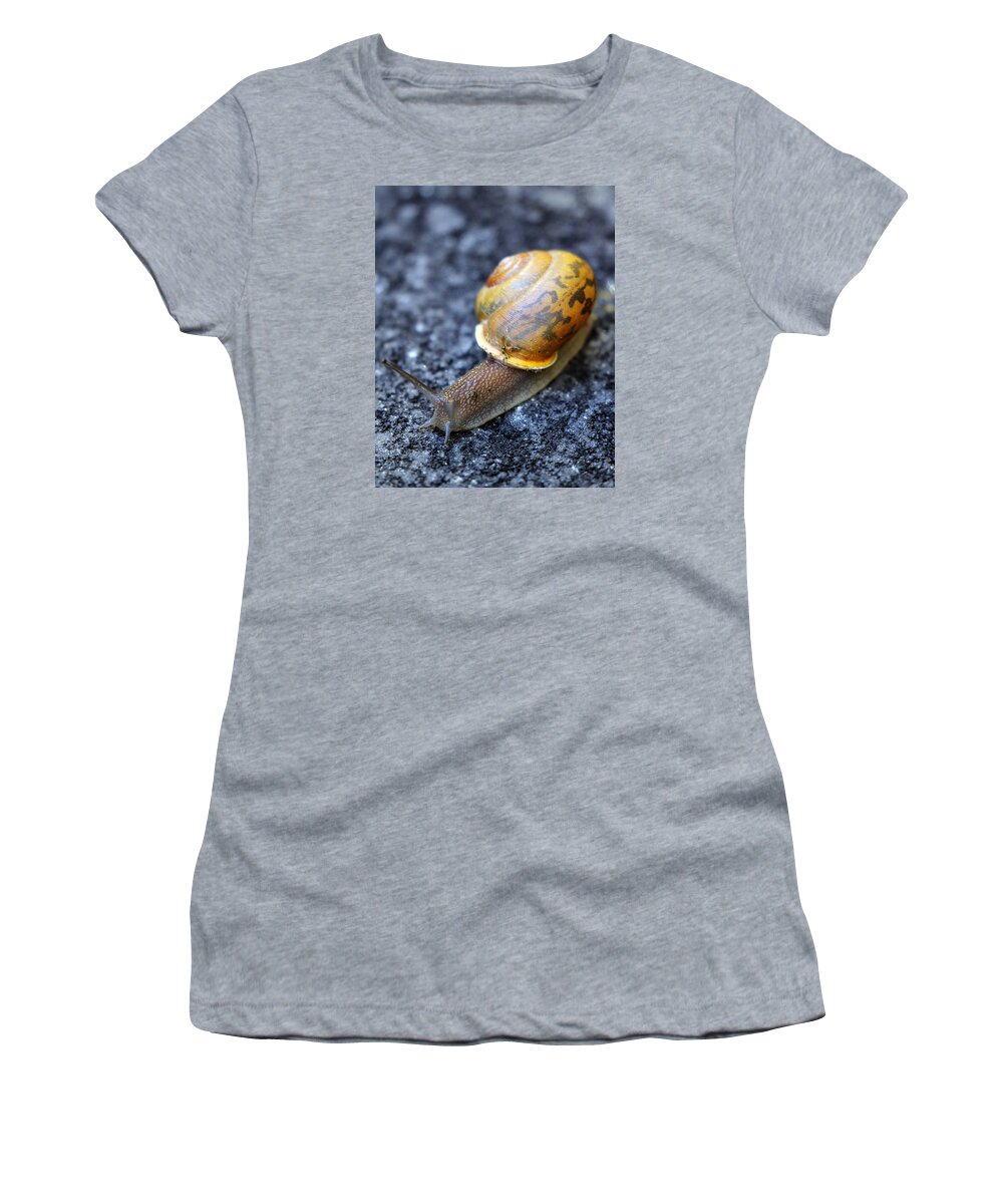Snail Women's T-Shirt featuring the photograph Shell Shock by Jennifer Robin