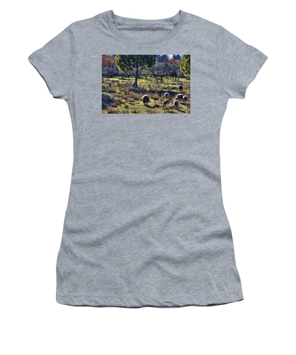 Shepherd Women's T-Shirt featuring the photograph Shepherd and Sheep by Hugh Smith
