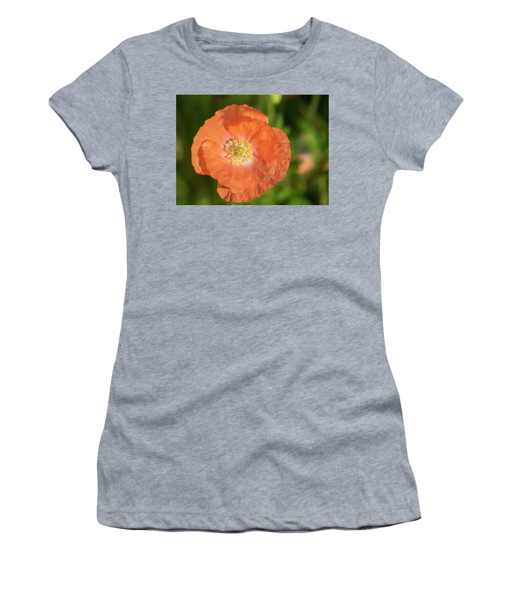 Shirley Poppy Women's T-Shirt featuring the photograph Shirley Poppy 2018-13 by Thomas Young