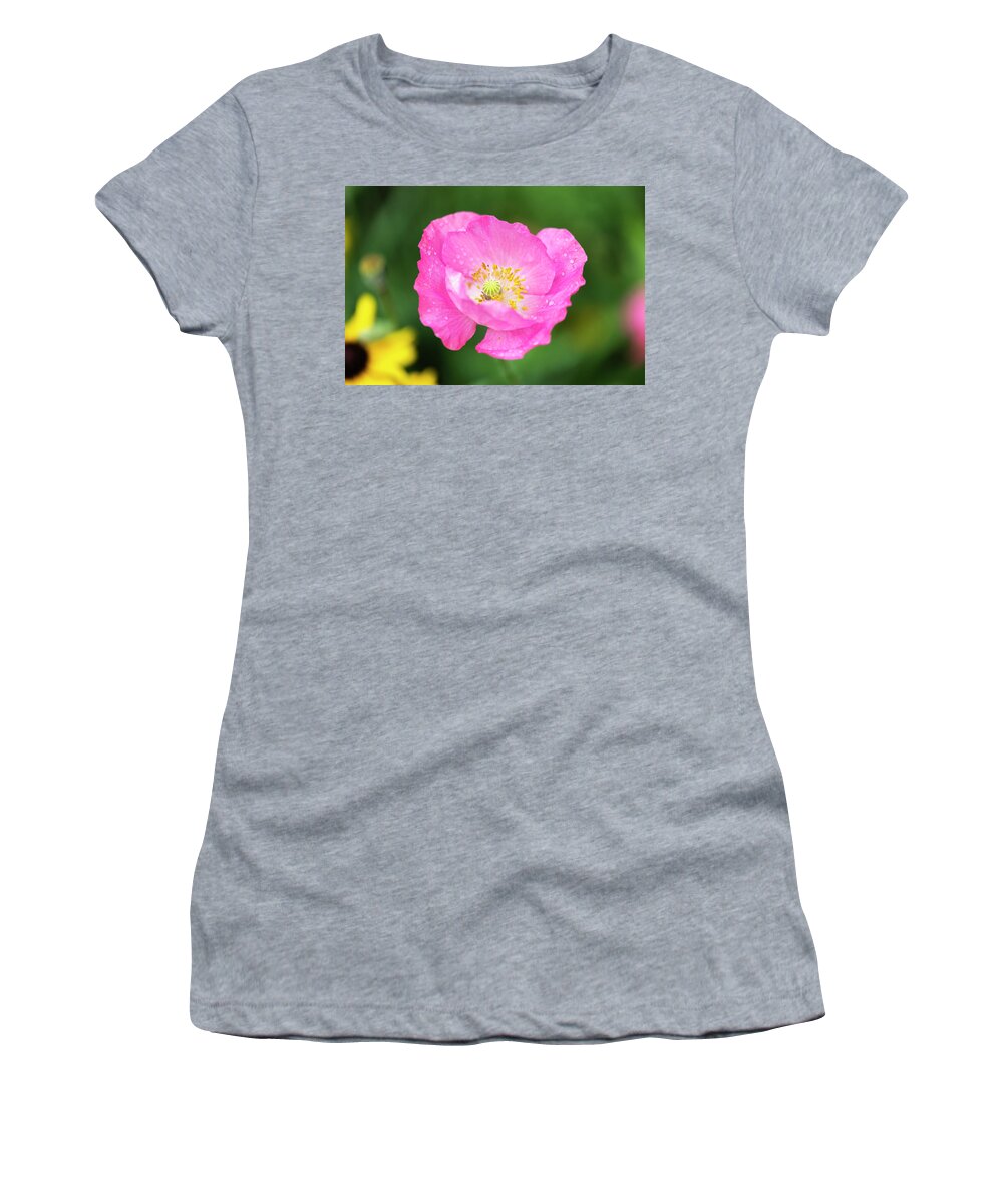 Shirley Poppy Women's T-Shirt featuring the photograph Shirley Poppy 2018-7 by Thomas Young