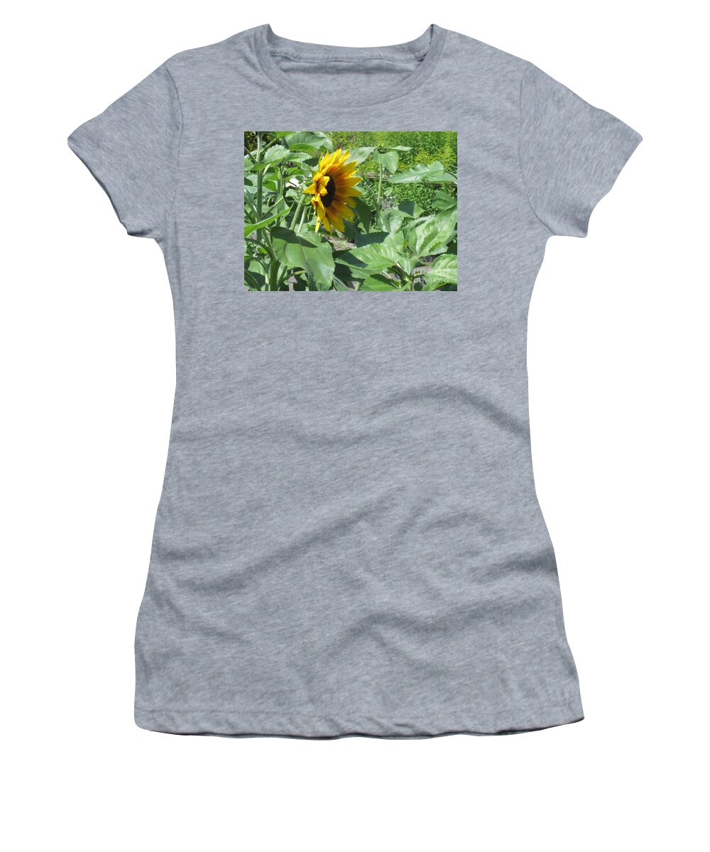Sunflower Women's T-Shirt featuring the photograph Shy Sunflower by Brandy Woods