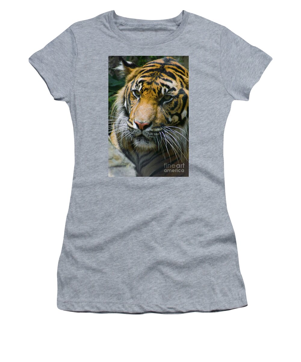 Animals Women's T-Shirt featuring the photograph Siberian Tiger Portrait by Kimberly Blom-Roemer