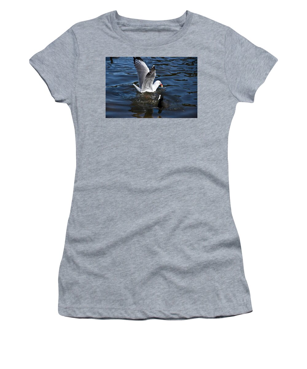 Silver Gull Women's T-Shirt featuring the photograph Silver Gull And Australian Coot by Miroslava Jurcik