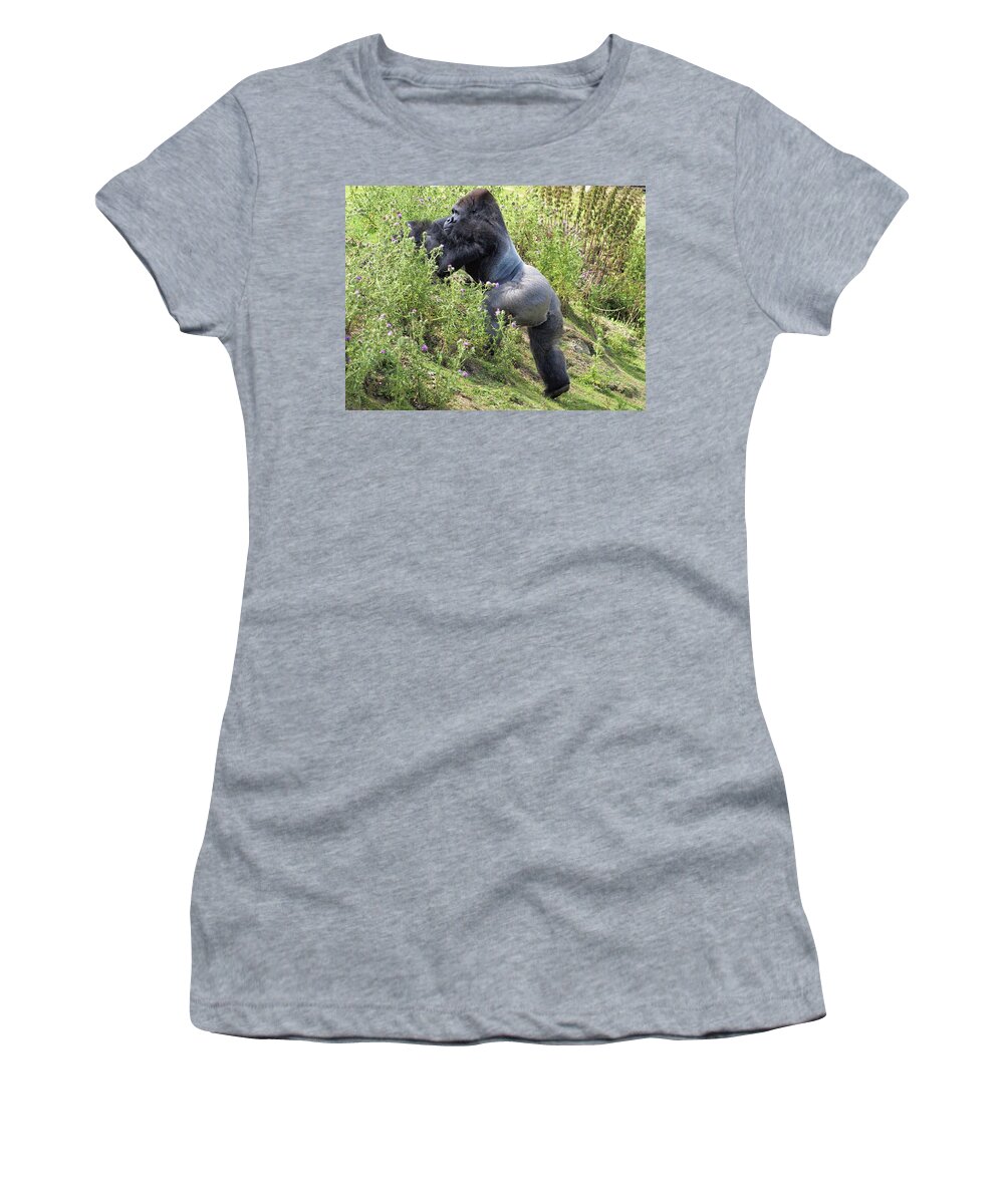 Animals Women's T-Shirt featuring the photograph Silverback by Richard Denyer