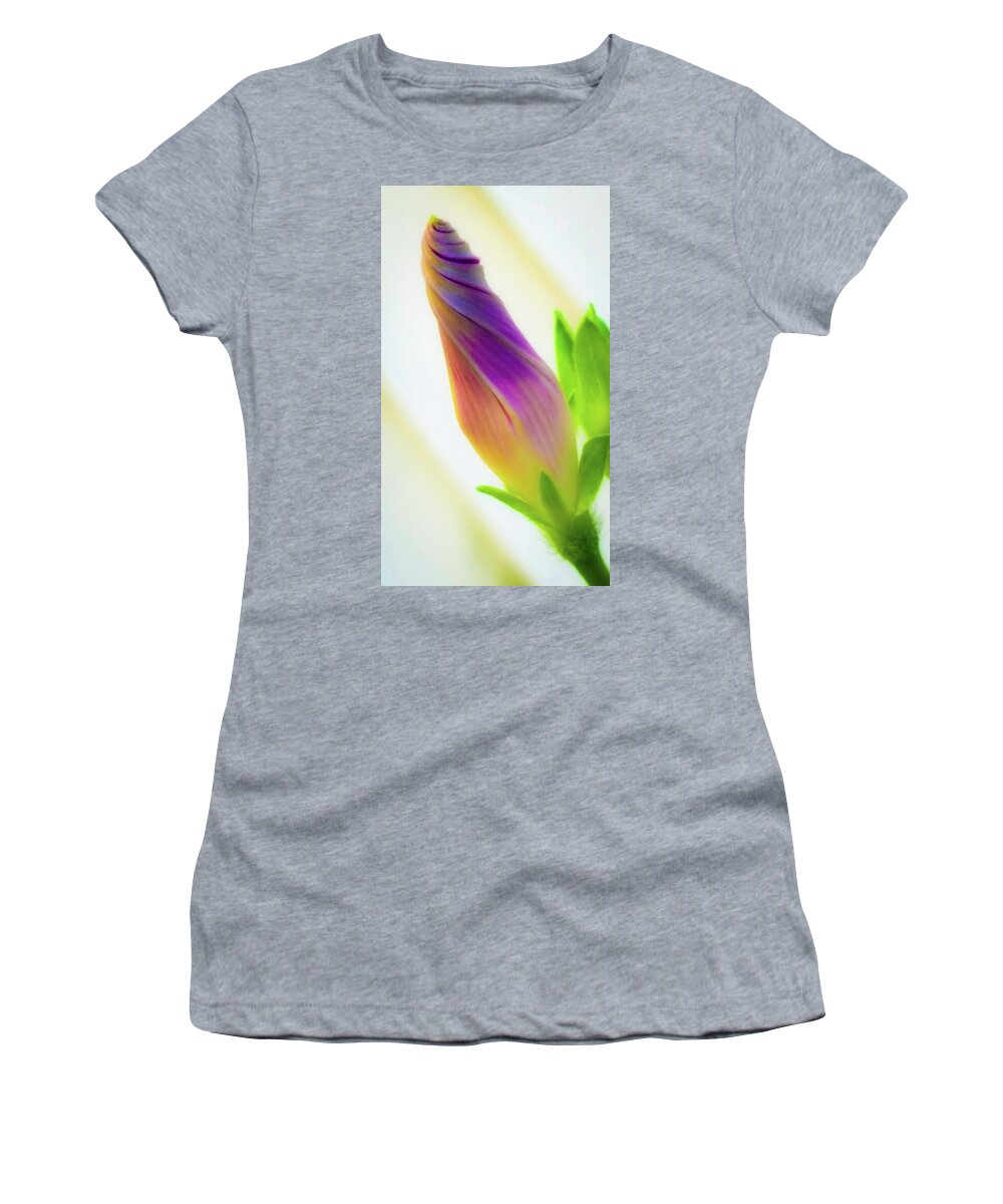 Morning Glory Women's T-Shirt featuring the photograph Simple beauty by Bruce Carpenter